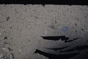 Cross Polarized, E46835