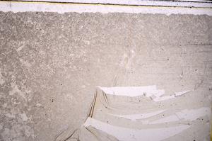 Plane Polarized, E46835