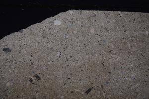 Cross Polarized, E46836