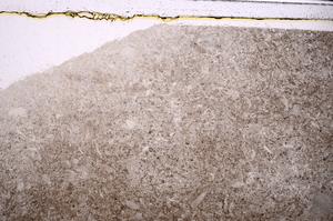 Plane Polarized, E46836