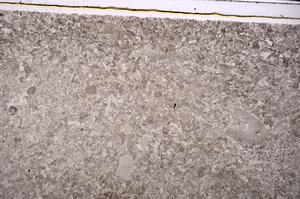 Plane Polarized, E46837