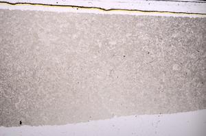 Plane Polarized, E46838