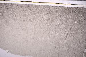 Plane Polarized, E46839