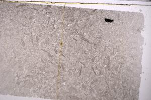 Plane Polarized, E46840/A