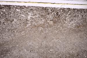 Plane Polarized, E46841