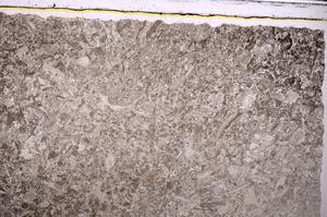 Plane Polarized, E46843