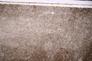 Plane Polarized, E46844