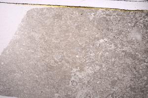 Plane Polarized, E46868