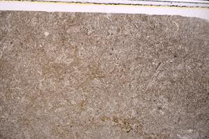 Plane Polarized, E46873
