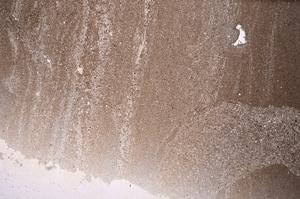 Plane Polarized, E46876