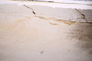 Plane Polarized, E46898/C