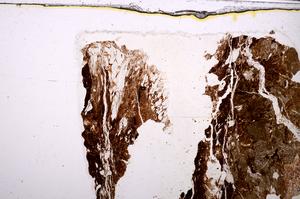 Plane Polarized, E46913/A