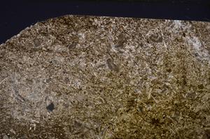 Cross Polarized, E46944