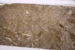 Plane Polarized, E46946