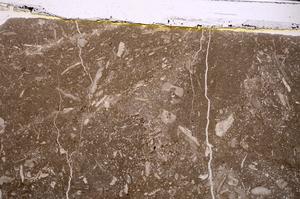 Plane Polarized, E46950