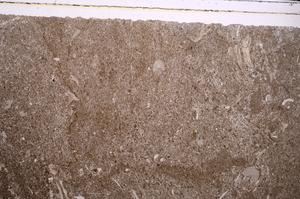 Plane Polarized, E46953