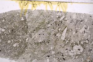 Plane Polarized, E47031