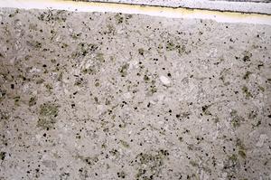 Plane Polarized, E47032