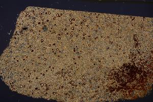 Cross Polarized, E47132