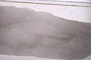 Plane Polarized, E47162