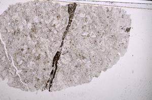 Plane Polarized, E47165