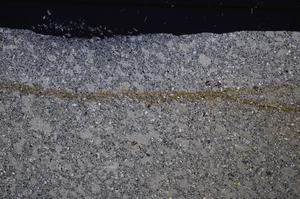 Cross Polarized, E47181