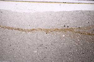 Plane Polarized, E47181