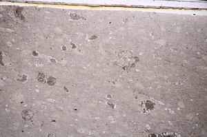 Plane Polarized, E47182