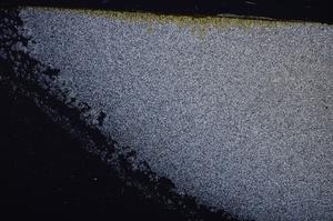 Cross Polarized, E47183