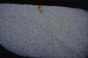 Cross Polarized, E47184