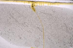 Plane Polarized, E47184