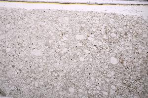 Plane Polarized, E47187