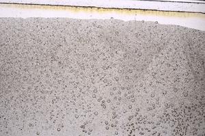 Plane Polarized, E47189