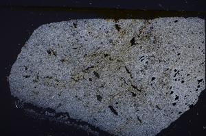 Cross Polarized, E47192