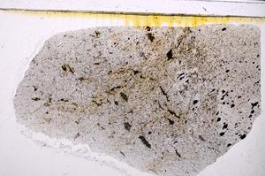 Plane Polarized, E47192