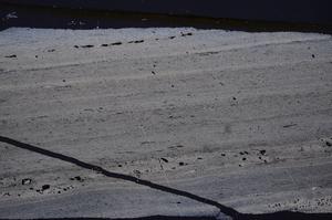 Cross Polarized, E47193