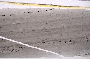 Plane Polarized, E47193