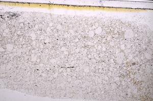 Plane Polarized, E47195