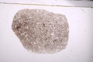 Plane Polarized, E47213