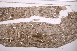 Plane Polarized, E47281