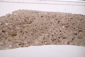 Plane Polarized, E47282