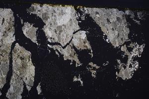 Cross Polarized, E47284/A