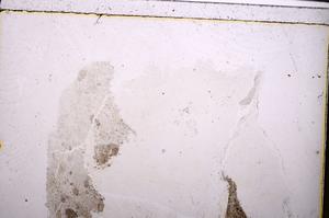 Plane Polarized, E47284/B