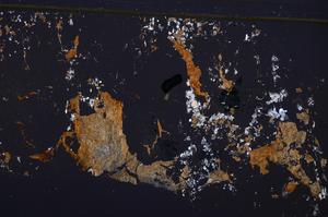 Cross Polarized, E47286