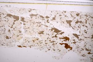 Plane Polarized, E47287/A