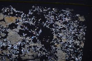 Cross Polarized, E47287/B