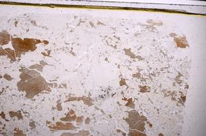 Plane Polarized, E47287/B