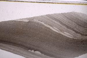 Plane Polarized, E47315