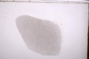 Plane Polarized, E47321