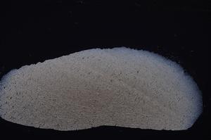 Cross Polarized, E47322